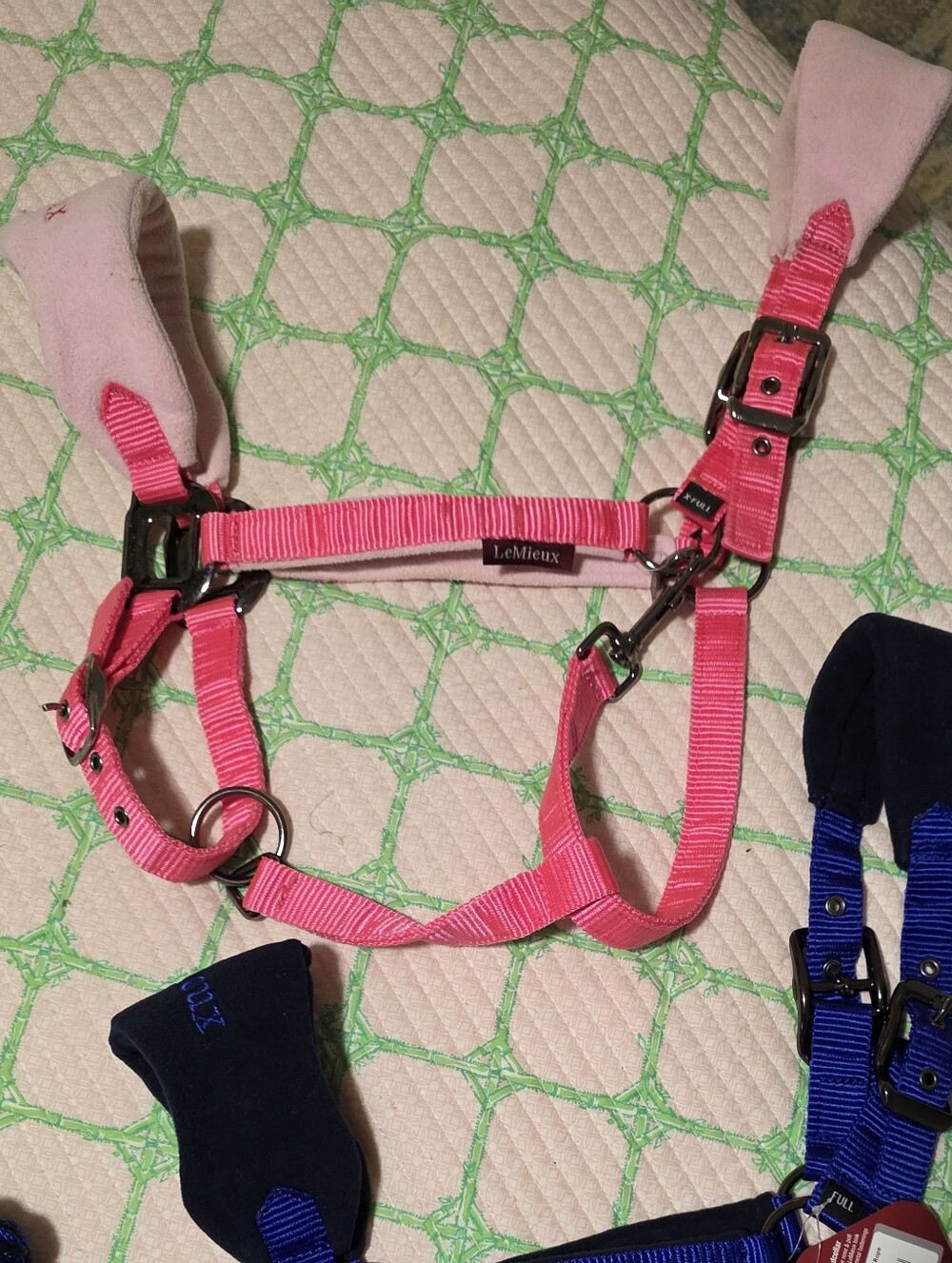 LeMieux Watermelom Pink Halter New- Xfull